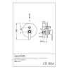 Встраиваемый смеситель для душа STURM Rosie ST-ROS-24090-GL