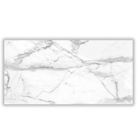 Керамогранит STURM Calacatta Ligth, 600х1200x10 мм, матовый, ST-SM01-MR-600x1200x10